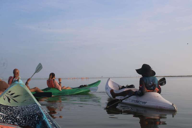 Holbox: Guided Sunrise/Sunset Kayak Tour by Mangrove Reserve - Key things to know before you paddle