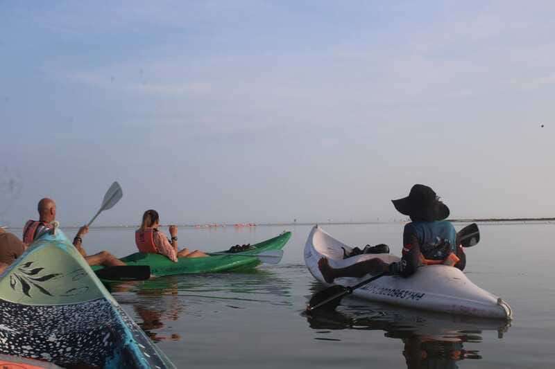 Holbox: Guided Sunrise/Sunset Kayak Tour by Mangrove Reserve - Who should book this Holbox sunrise/sunset kayak tour?