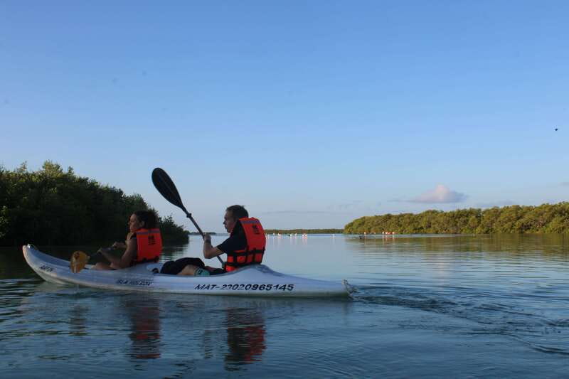 Holbox: Guided Sunrise/Sunset Kayak Tour by Mangrove Reserve - The 2.75-hour paddle: how the tour keeps you close to wildlife