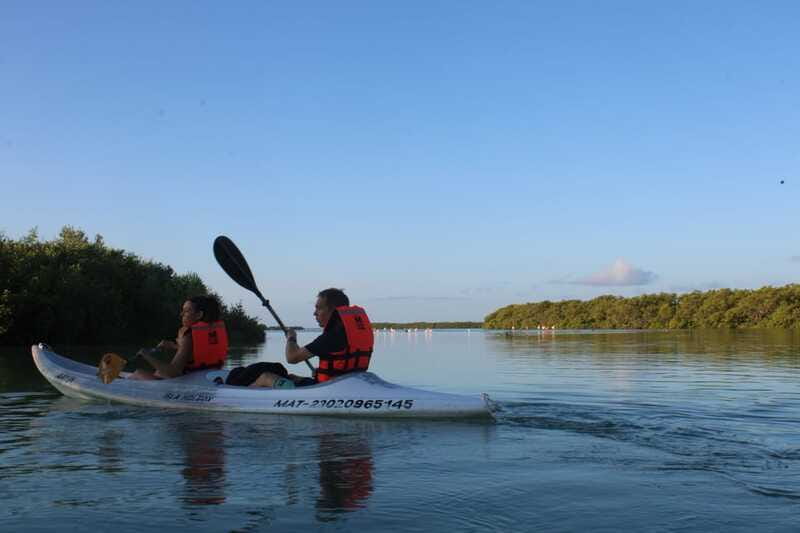 Holbox: Guided Sunrise/Sunset Kayak Tour by Mangrove Reserve - Timing: why 3 hours feels just right