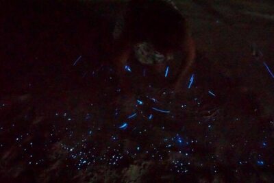 Holbox Kayak Bioluminescence Experience - Paddling to Punta Mosquito: the pre-show that sets up the glow