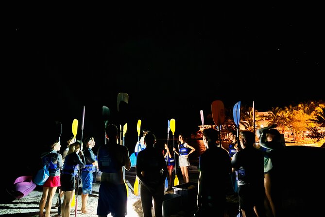Holbox Kayak Bioluminescence Experience - Looking up: Milky Way, planets, and shooting stars (when the sky cooperates)