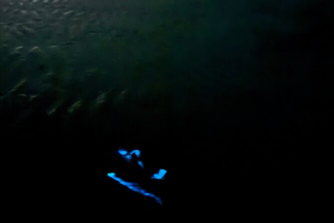 Holbox Kayak Bioluminescence Experience - Group size and why it affects your experience