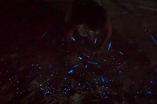 Holbox Kayak Bioluminescence Experience - Paddling to Punta Mosquito: the pre-show that sets up the glow