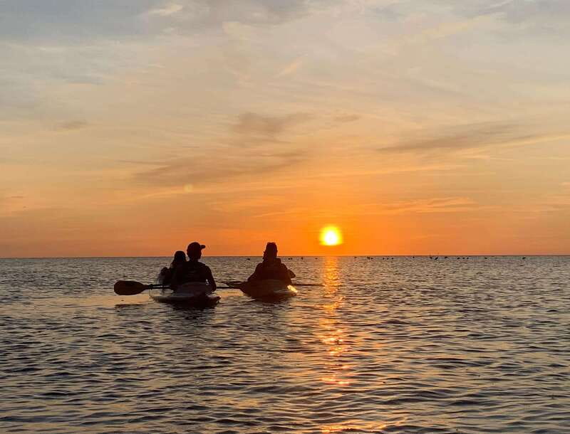Holbox: Mangrove Sunset Kayak Tour - Quick hits