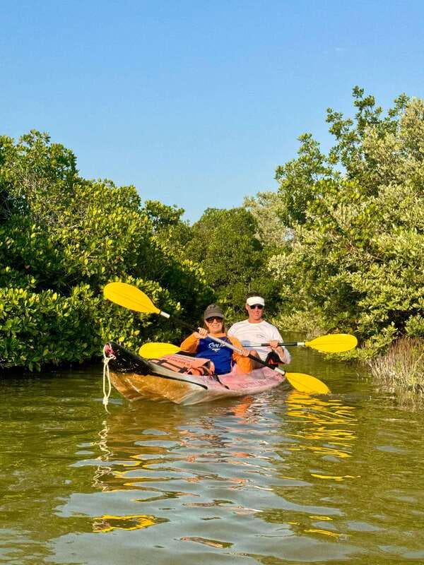 Holbox: Mangrove Sunset Kayak Tour - Included pickup, timing, and the practical flow of the day