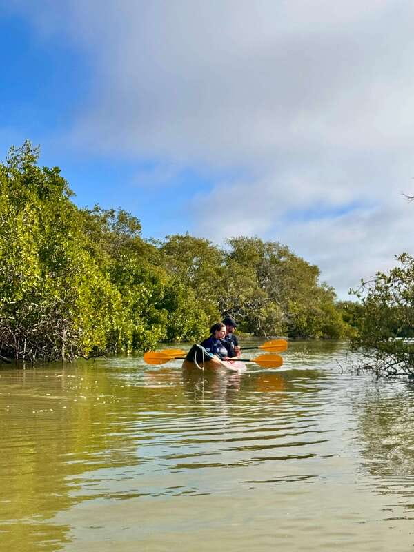 Holbox: Mangrove Sunset Kayak Tour - What you’ll feel when sunset hits the mangroves