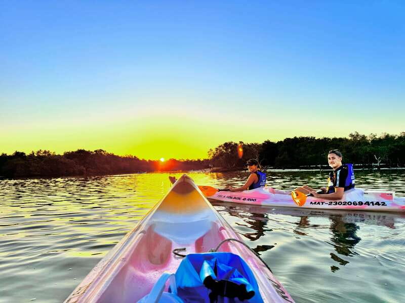 Holbox: Sunrise & Mangrove Kayak Tour - Why This Holbox Sunrise Kayak Feels So Special