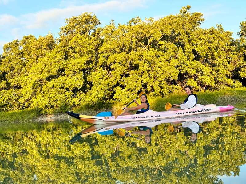 Holbox: Sunrise & Mangrove Kayak Tour - Key Points You Should Know Before You Go