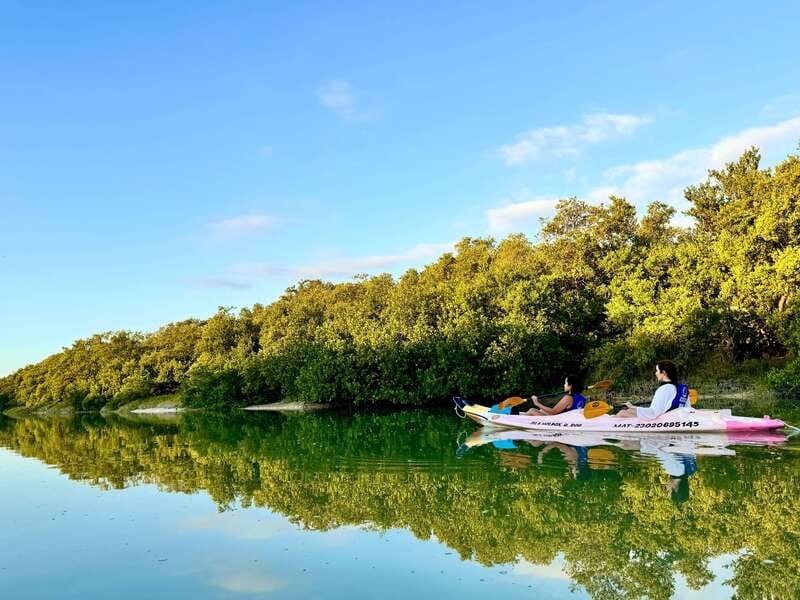 Holbox: Sunrise & Mangrove Kayak Tour - Entering the Kuká River: Mangroves, Birds, and Real Silence
