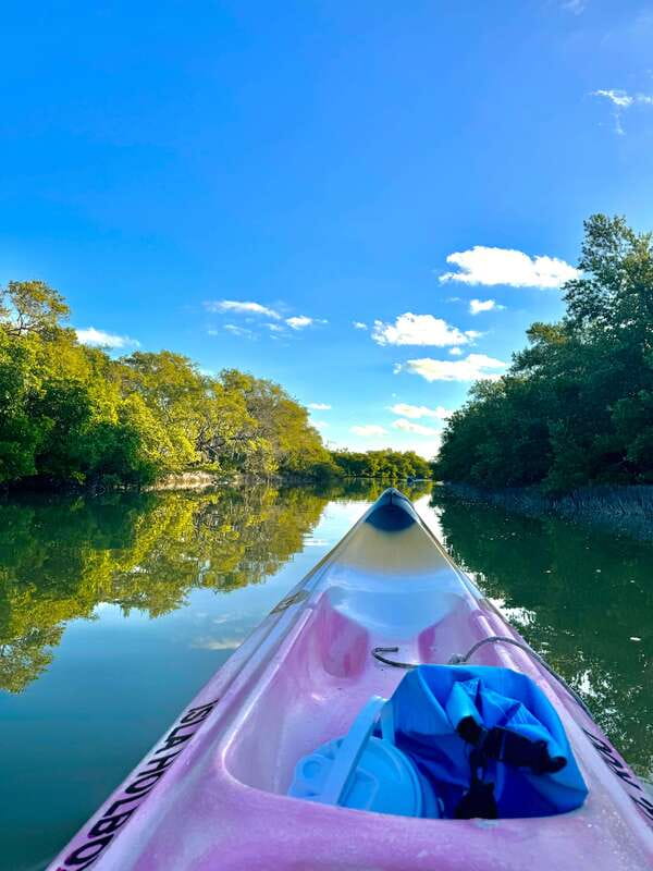 Holbox: Sunrise & Mangrove Kayak Tour - Timing by Season: When Flamingos and Bird Counts Feel Best