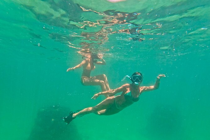 Hollywood Snorkel, Kayak & Paddleboard with Reefs and Sculptures - Gear and Comfort: Sanitized Masks, Anti-Fog, and a Real Safety Setup