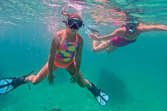 Hollywood Snorkel, Kayak & Paddleboard with Reefs and Sculptures - Who This Tour Fits Best (And Who Might Want to Think Again)