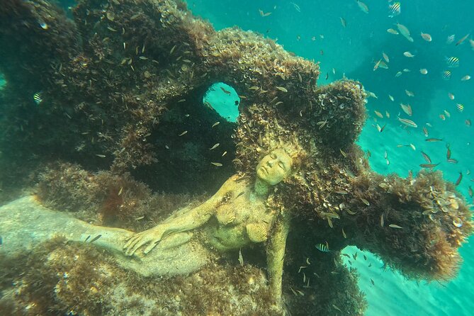 Hollywood Snorkel, Kayak & Paddleboard with Reefs and Sculptures - Camila and Thiago: Small-Group Guidance That Feels Personal