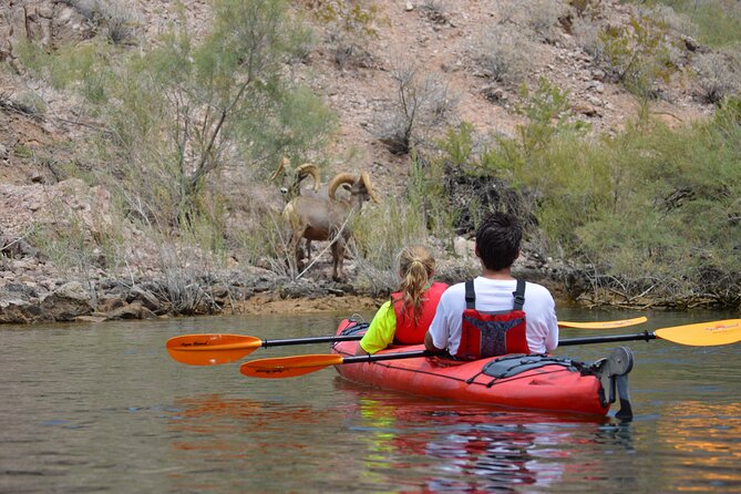 Hoover Dam & Hot Springs Kayak Tour with Lunch & Expert Guide - Kayaking 12 miles through Black Canyon: fun views, steady work