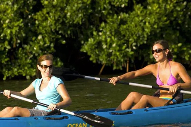 Huleia River Hidden Valley Falls Kayak & Hike - Setting Out on Kauai’s Hule’ia River: How the Morning Flows