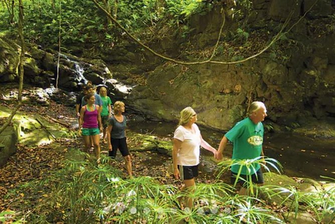 Huleia River Hidden Valley Falls Kayak & Hike - What to Bring and Wear: The “Don’t Be Miserable” Checklist