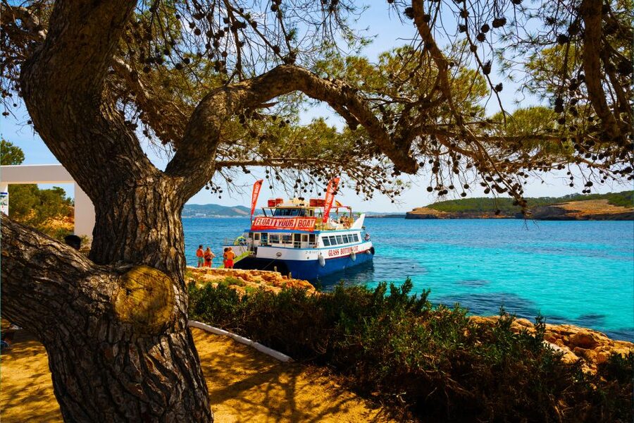 Ibiza: Beach Hopping Cruise w/ Paddleboard, Food, & Drinks - Key points before you go