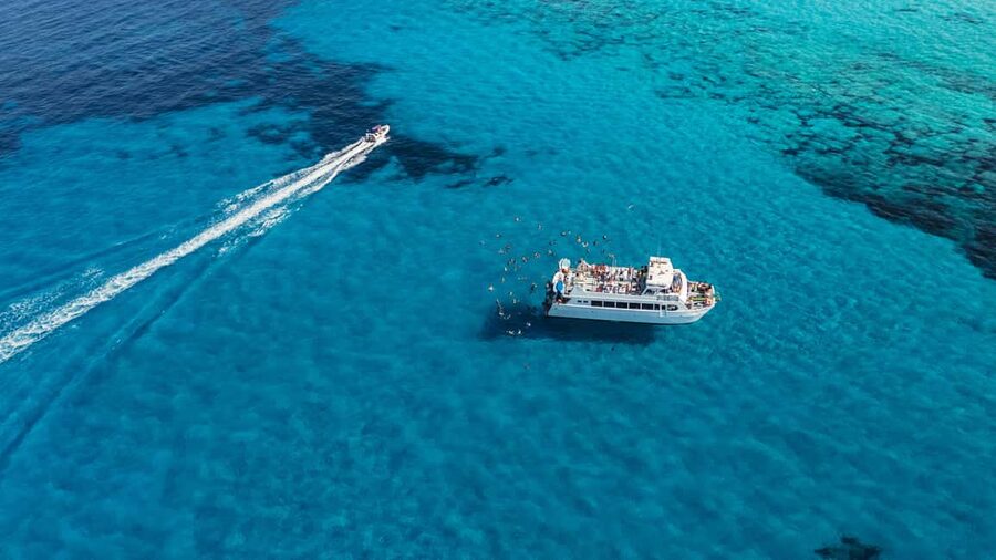 Ibiza: Formentera Boat Cruise with Paddle, Snorkel & Lunch - Check-in, timing, and how not to miss the boat