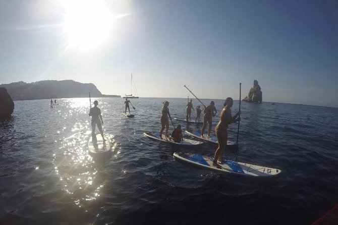 Ibiza Morning Paddle Board Tour - Starting at Cala de sa Ferradura: A Morning That Feels Like a Local Secret