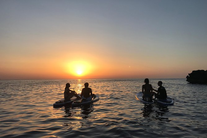 Ibiza Stand Up Paddle Surf Sunset Tour - Where you paddle: north coast and west-coast scenery, chosen by conditions