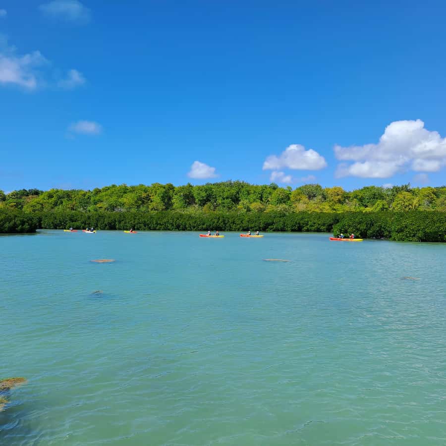Ile d Ambre Kayaking - Key highlights at a glance