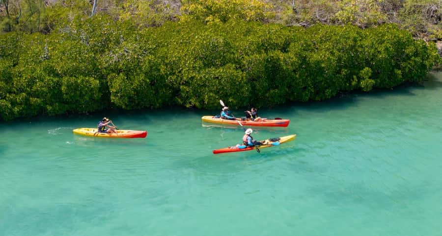 Ile d Ambre Kayaking - The Other Side Walk: Ruins and a 300-Year Story