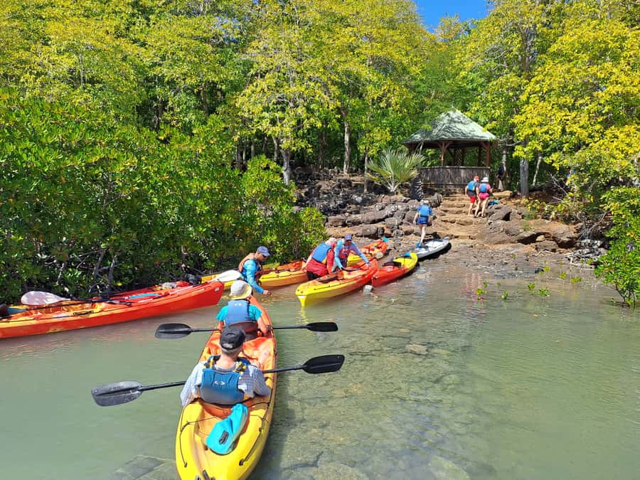 Ile d Ambre Kayaking - Conservation Talk and Nature Education: Why the Guide Matters