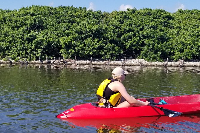 Indian River Clear Bottom Kayak or Paddleboarding Manatee and Dolphin Tour - Clear-Bottom Kayaks and Dry Bags: Seeing Wildlife Without the Guesswork
