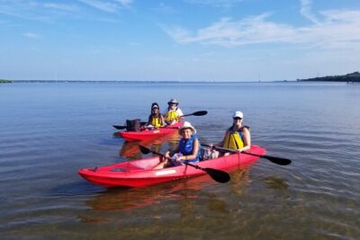 Indian River Clear Bottom Kayak or Paddleboarding Manatee and Dolphin Tour - Best Timing: When You’re Most Likely to Spot Dolphins and Manatees