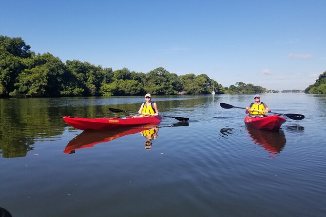Indian River Clear Bottom Kayak or Paddleboarding Manatee and Dolphin Tour - Wildlife Rules: What’s Promised, What Isn’t, and How to Handle It