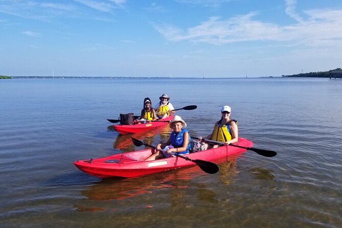 Indian River Clear Bottom Kayak or Paddleboarding Manatee and Dolphin Tour - Best Timing: When You’re Most Likely to Spot Dolphins and Manatees