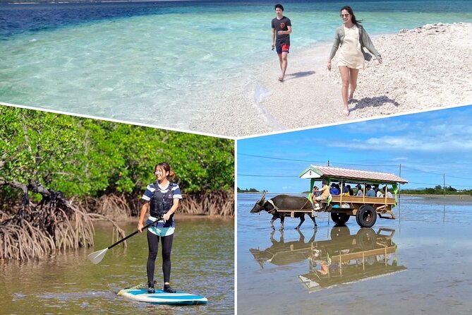 Iriomote 1 Day Mangrove SUP/Canoe, Barasu Island & Yubu Island - Lunch break at the port: plan around what’s not included