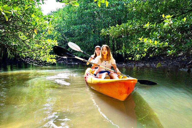 Iriomote 1 Day Mangrove SUP/Canoe, Barasu Island & Yubu Island - Price and value: what you’re really paying for