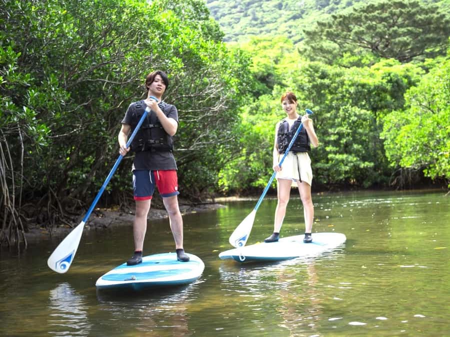 Iriomote island: Mangrove River SUP or Canoe Cruising Tour - Quick hits before you go