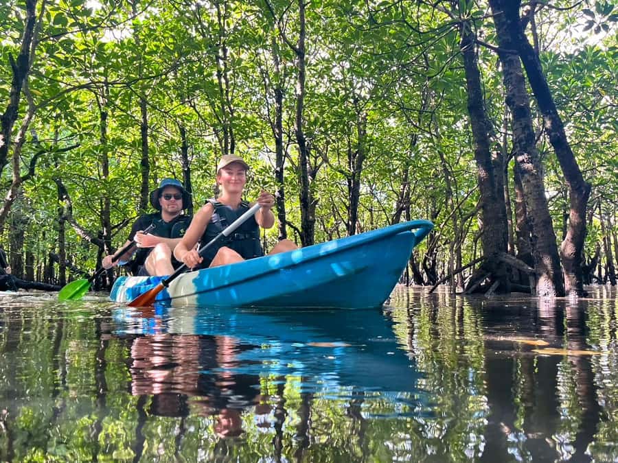 Iriomote island: Mangrove River SUP or Canoe Cruising Tour - World Heritage mangroves off Uehara Port