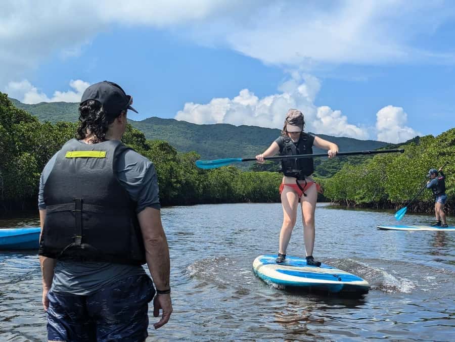 Iriomote island: Mangrove River SUP or Canoe Cruising Tour - Low-tide mangrove walk: where the ecosystem clicks