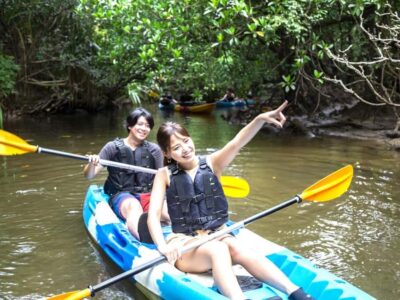 Iriomote island: Mangrove River SUP or Canoe Cruising Tour - Canoe or SUP time: calm water, real effort