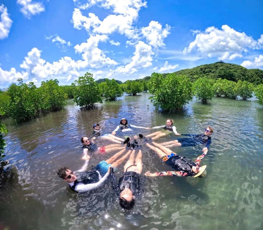 Iriomote island: Mangrove River SUP or Canoe Cruising Tour - Price and value: what $50 gets you in 150 minutes