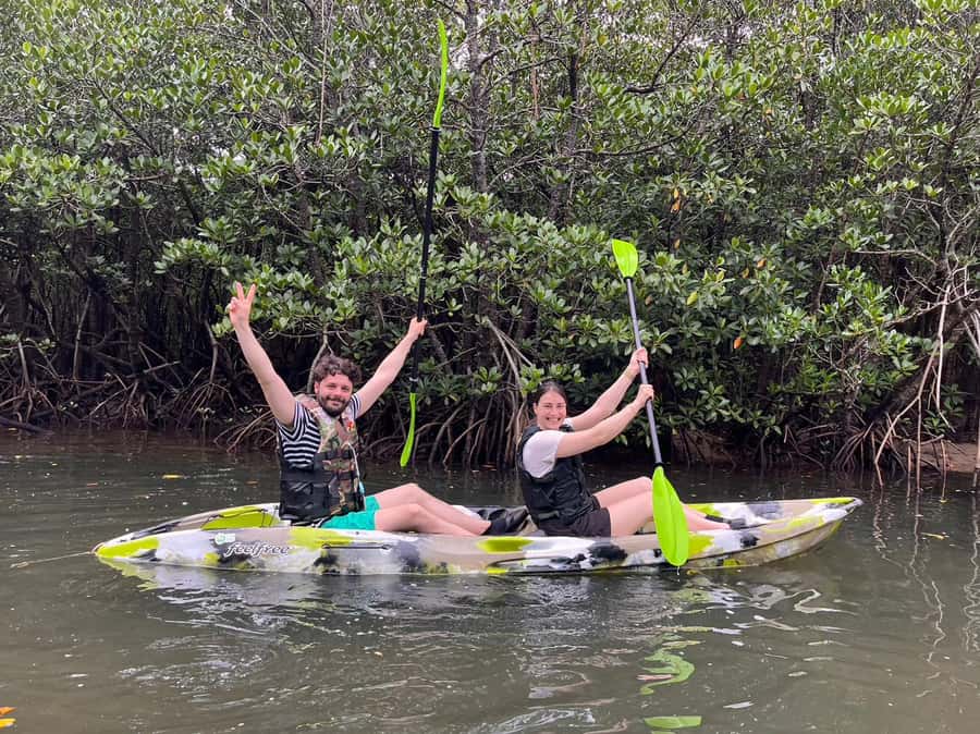 Iriomote island: Mangrove River SUP or Canoe Cruising Tour - Getting there from Ishigaki and around Iriomote