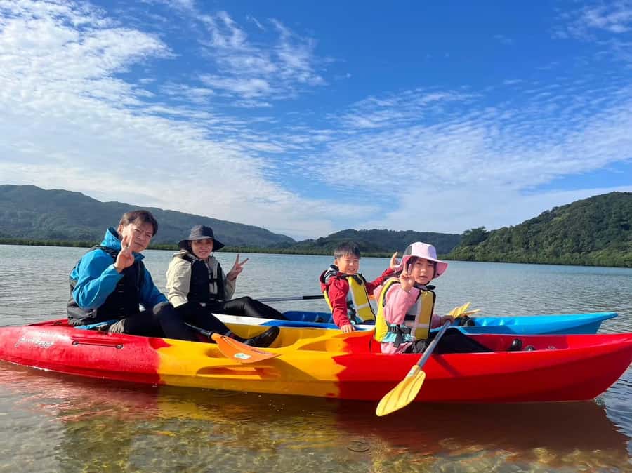 Iriomote island: Mangrove River SUP or Canoe Cruising Tour - Who should book this Iriomote canoe or SUP tour