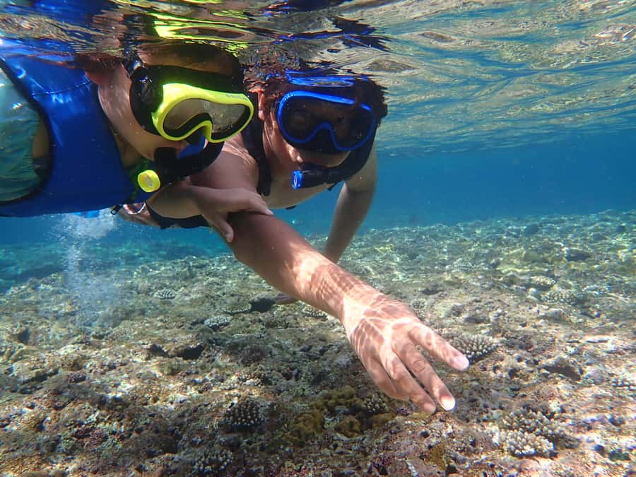 Ishigaki: Canoe or SUP at Kabira Bay&Snorkeling at Blue Cave - Safety Rules That Can Feel Strict, but Have a Reason