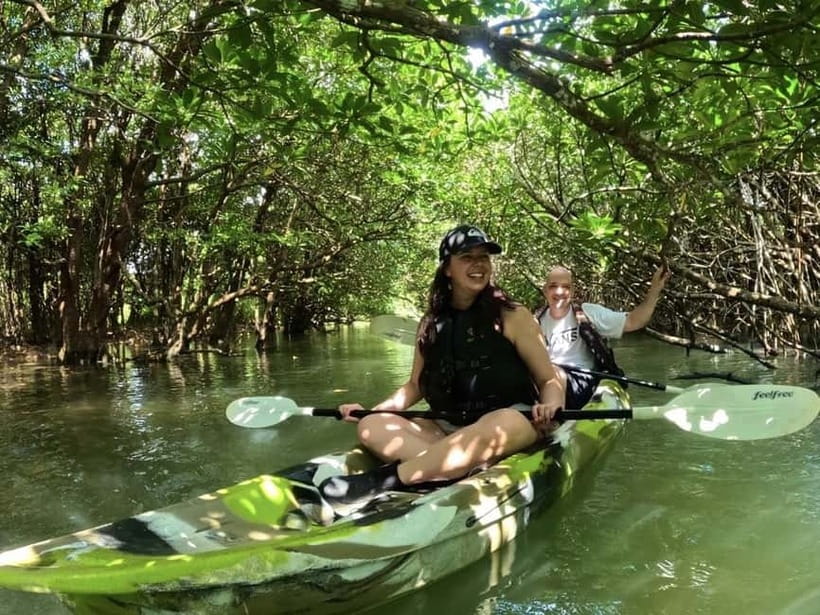 Ishigaki Island: 2-Hour Miyara River SUP or Canoeing Tour - Miyara River mangroves: what you’re actually paddling through