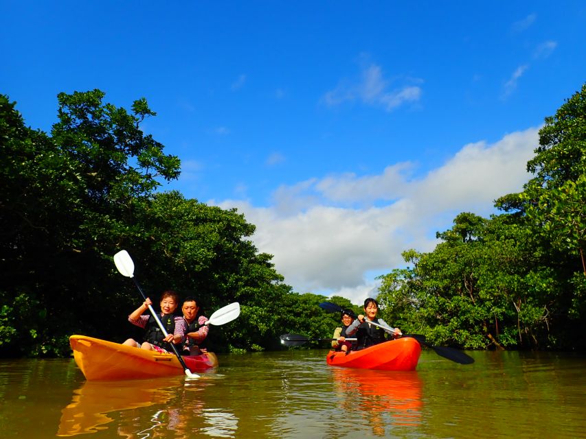 Ishigaki Island: 2-Hour Miyara River SUP or Canoeing Tour - SUP vs canoe: choosing the right option for your group