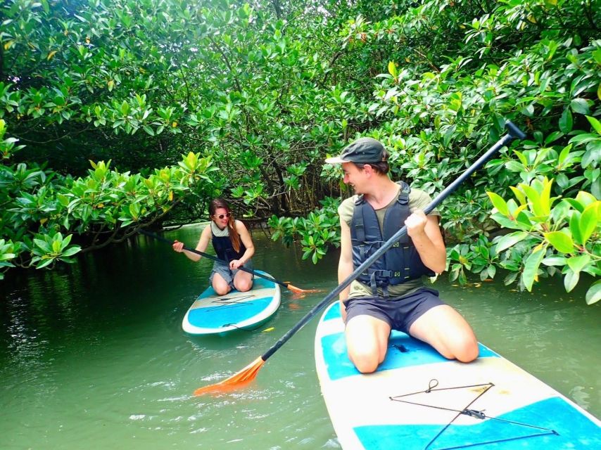 Ishigaki Island: 2-Hour Miyara River SUP or Canoeing Tour - Safety and comfort on a mangrove river (the stuff you’ll actually feel)