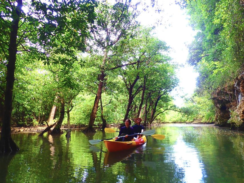 Ishigaki Island: 2-Hour Miyara River SUP or Canoeing Tour - Value for $54: what’s included (and why that matters)