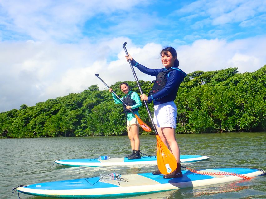 Ishigaki Island: 2-Hour Miyara River SUP or Canoeing Tour - Who should book this Miyara River paddle (and who might not)