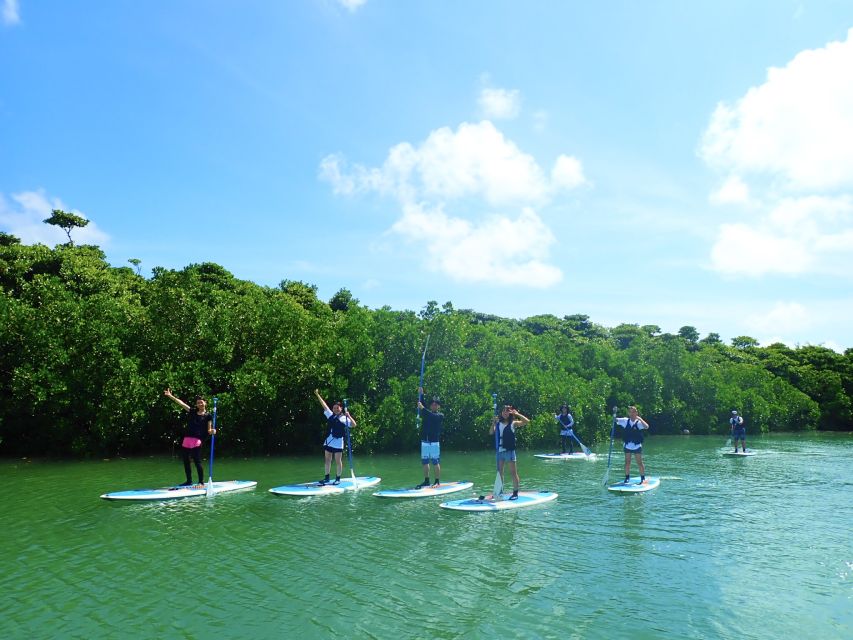 Ishigaki Island: 2-Hour Miyara River SUP or Canoeing Tour - Guides, languages, and the feel of the day