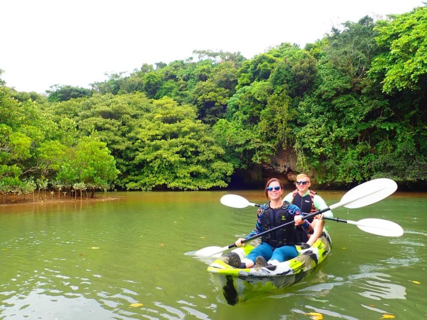 Ishigaki Island: 2-Hour Miyara River SUP or Canoeing Tour - Tour flow from the harbor: what happens before and after your paddle