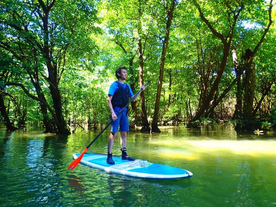 Ishigaki Island: SUP or Canoeing and Snorkeling at Blue Cave - Key Things I’d Watch Before Booking